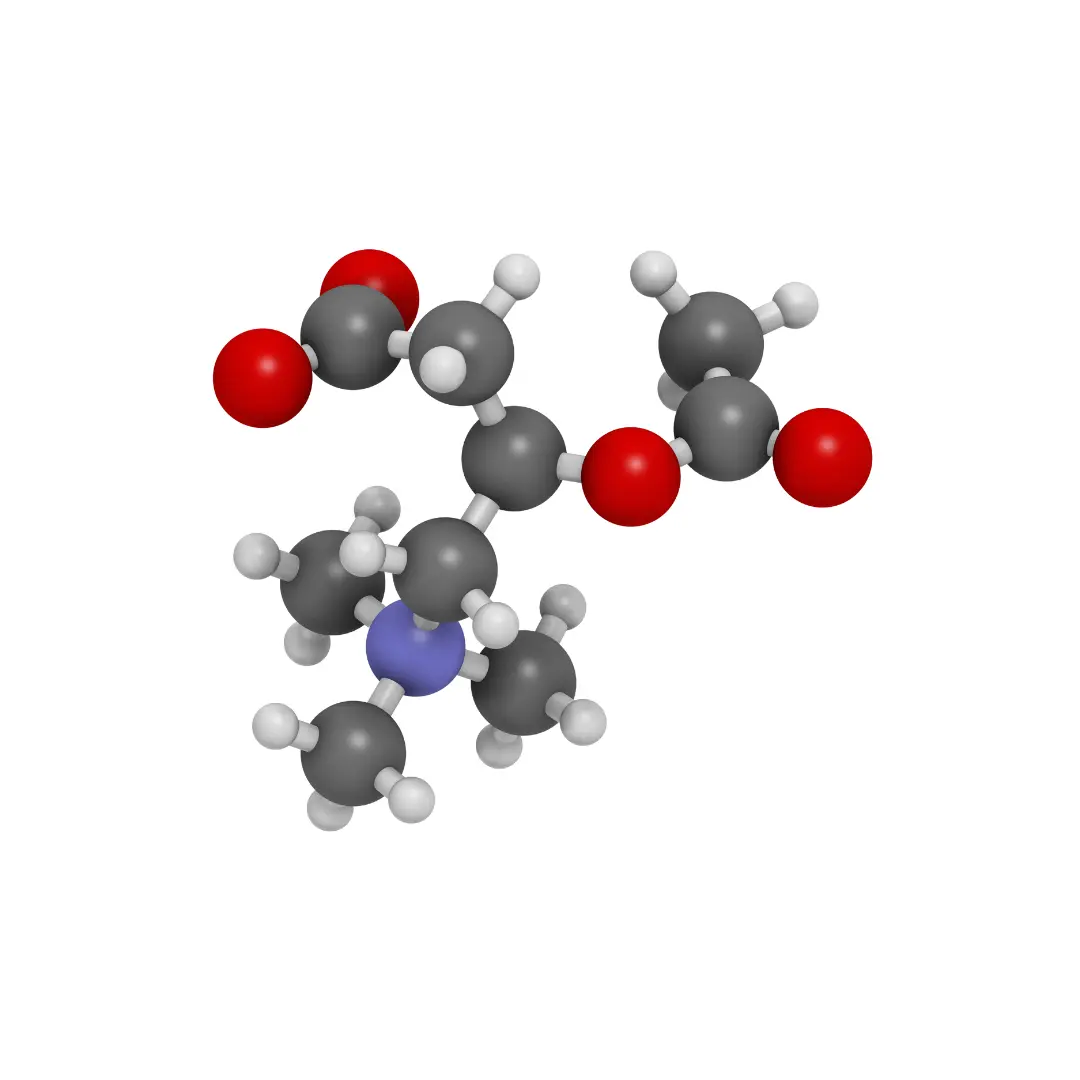 L-CARNITINE